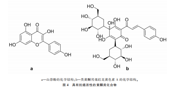 植提圖片23